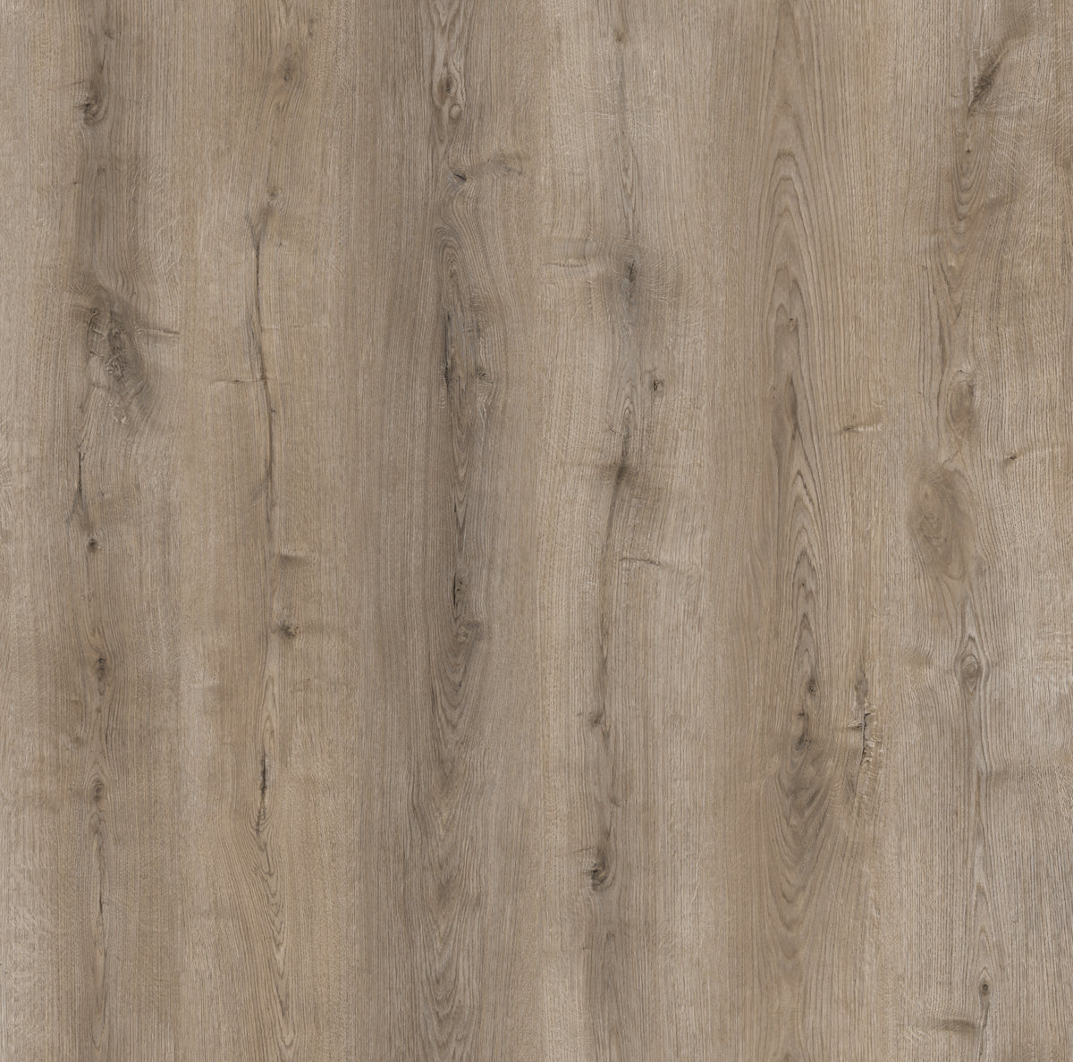 Arctic Grey Laminate 12x198x1218