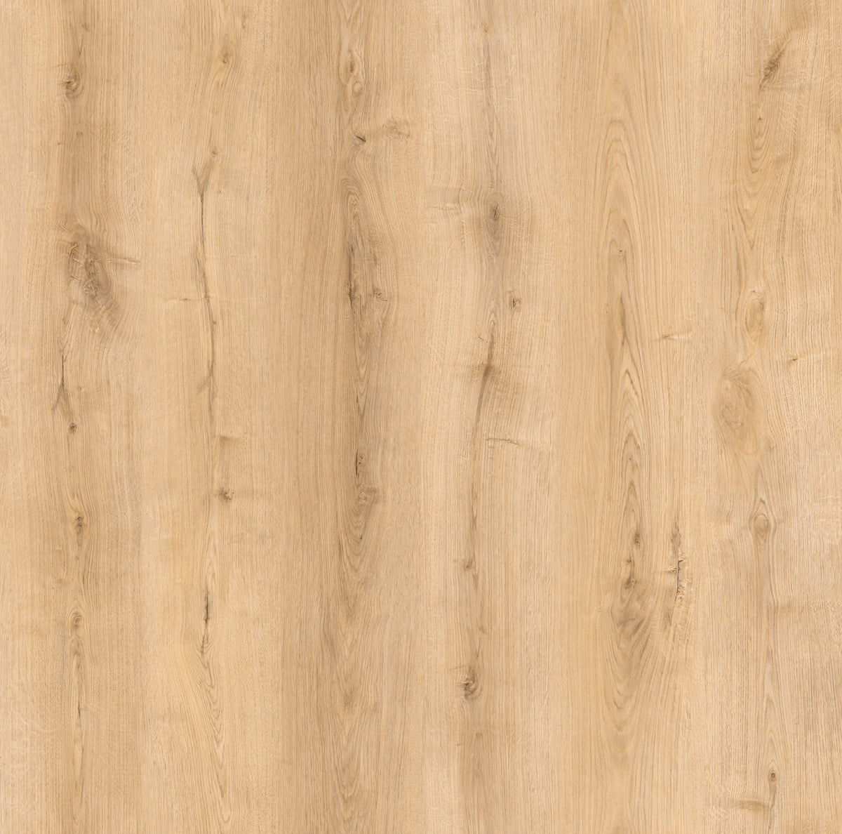 Invisible Laminate 12x198x1218