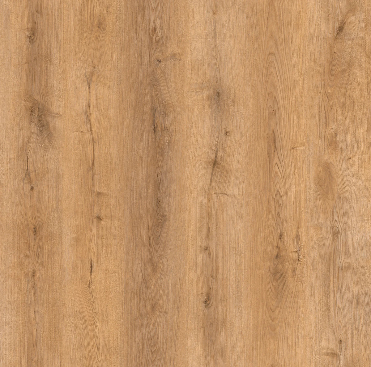 Lightly Smoked Laminate 12x198x1218