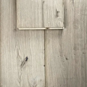 Close-up view showing the natural grain and raw texture of Rustic Oak