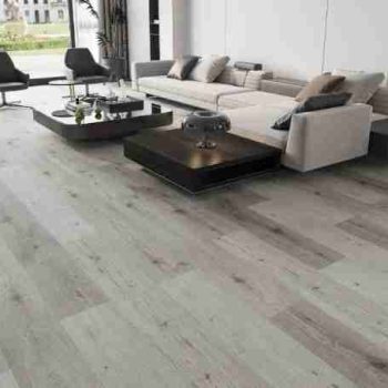 SPC XL Plank pure grey living room