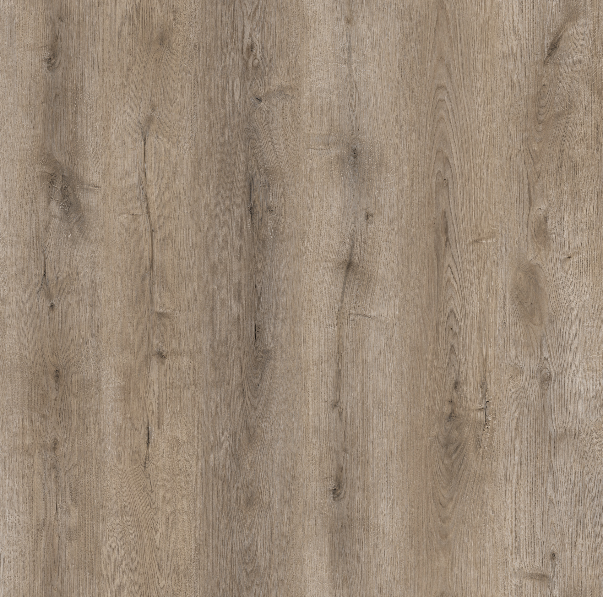 New Deluxe Laminate Arctic Grey Oak Plank – Close-Up Texture Detail
